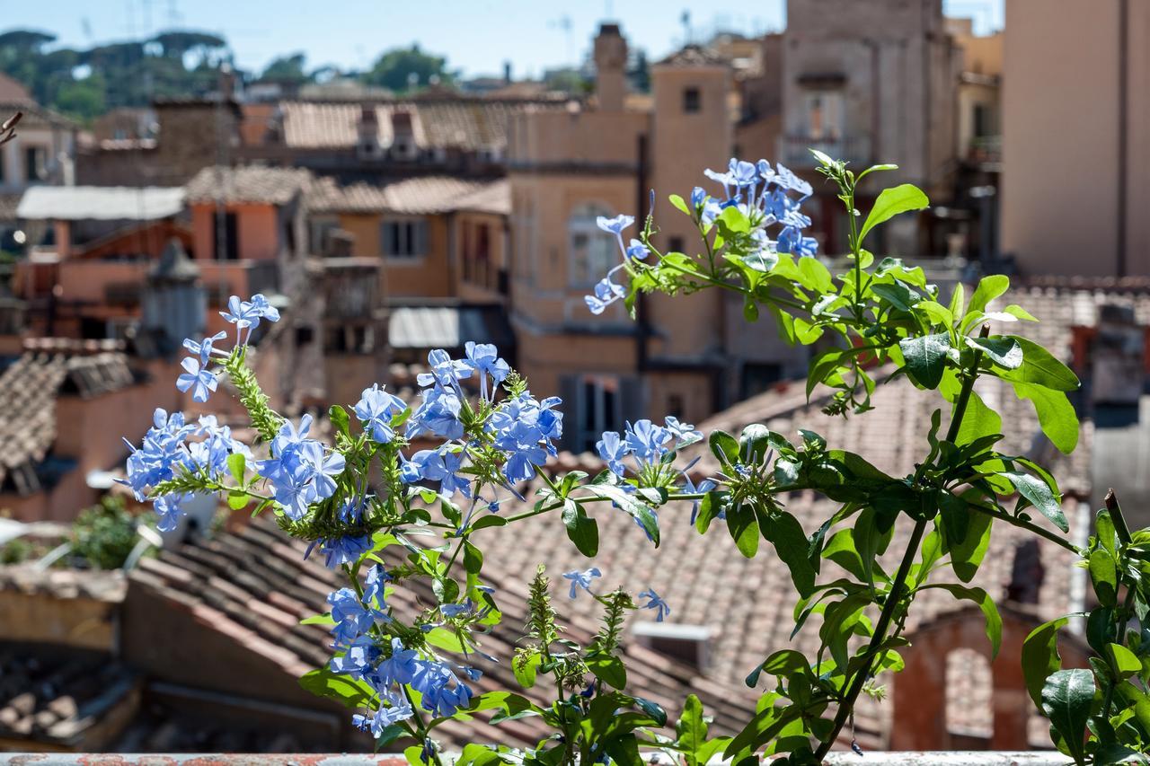 Casa Vacanza Girasole Appartamento *